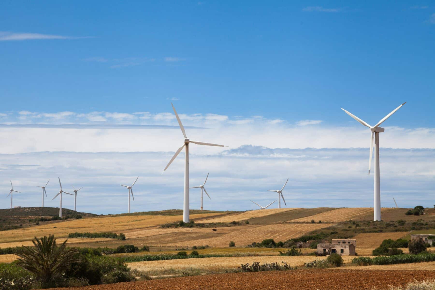 Wind turbines in Tunisia