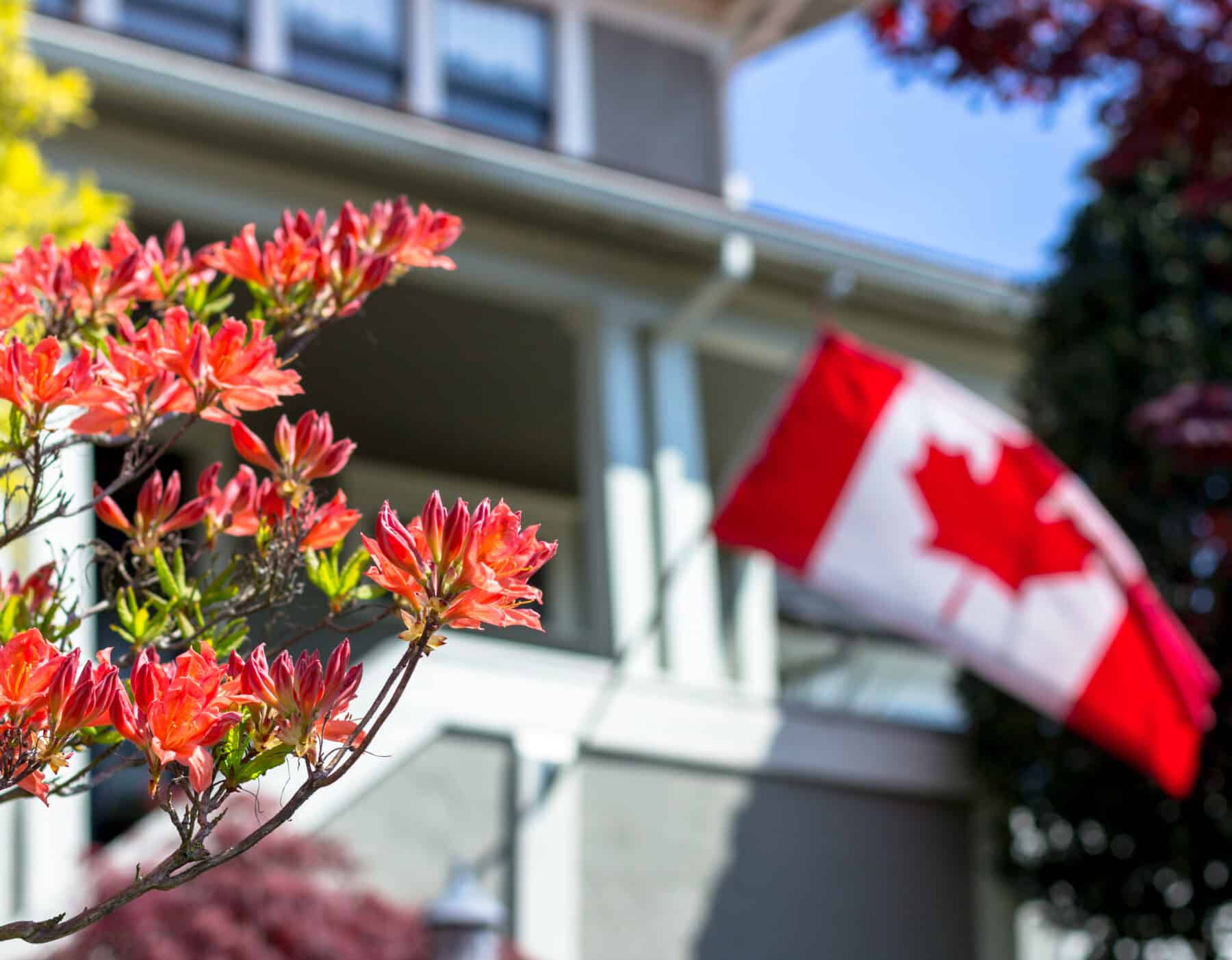 A middle class home with flowers in the foreground and a Canadian flag waving in the background